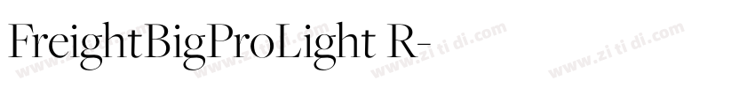FreightBigProLight R字体转换